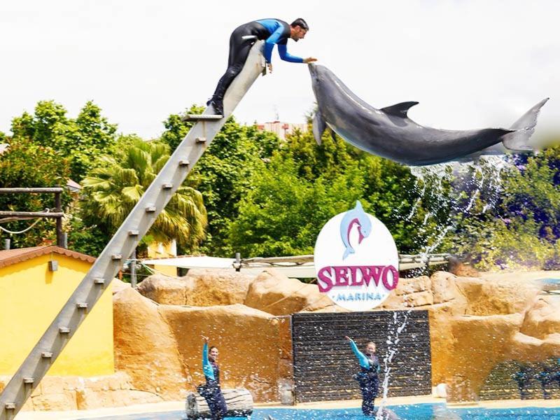 شقة Marbella Hills المظهر الخارجي الصورة